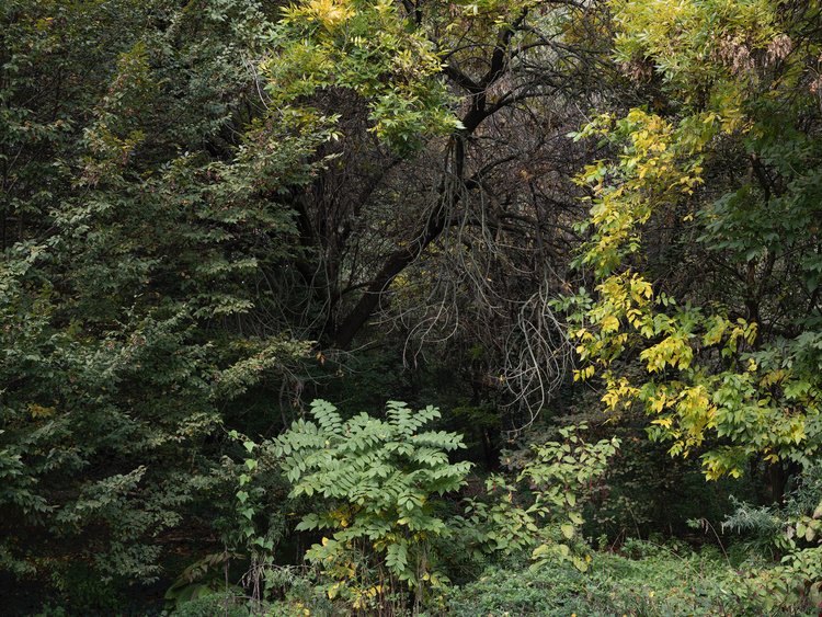 Borders, mostra fotografica di Cocis Ferrari esposta al BI-BOx Art Space di Biella