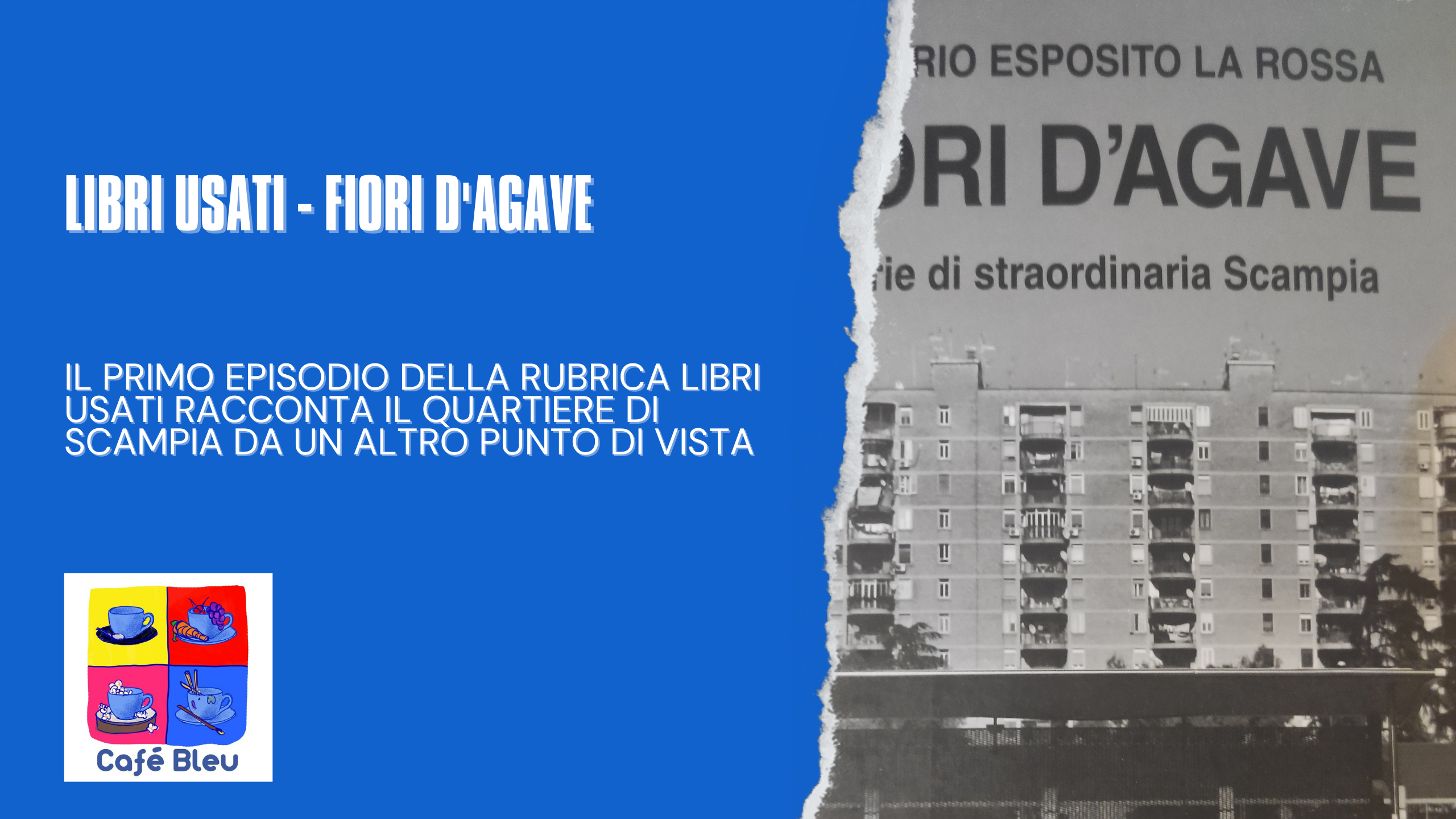 Libri Usati 1 - Rosario Esposito La Rossa, Fiori d'agave di Scampia ...