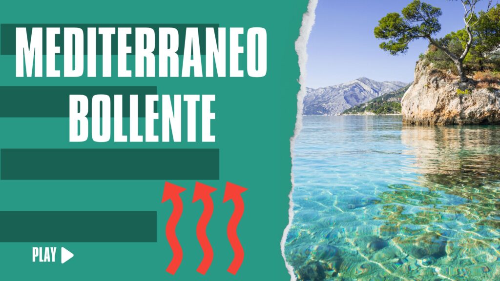 Il Mediterraneo sembra ai tropici