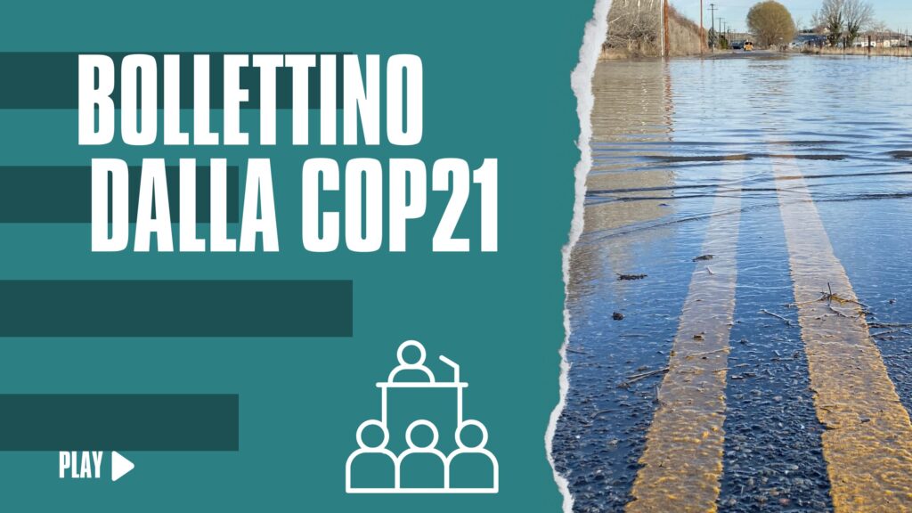 Giorno per giorno alla COP29