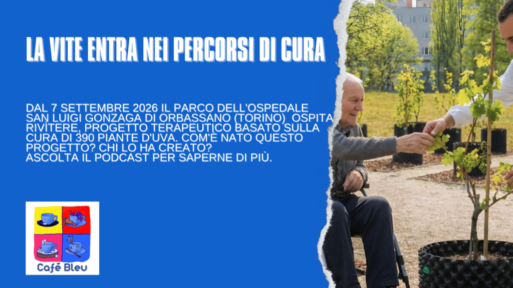 Rivìtere all'Ospedale San Luigi di Orbassano, la vigna entra nei percorsi terapeutici